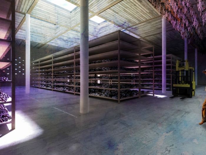 Archisio - Didon Comacchio Architects - Progetto A big shadow of negrar wine