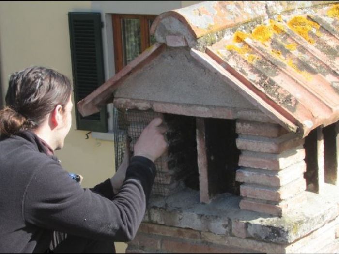 Archisio - Mister Spazzacamino - Progetto Applicazione reti rimozione nidi