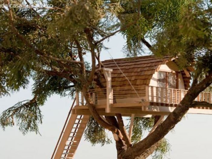 Archisio - Casalberi - Progetto Suite sugli alberi