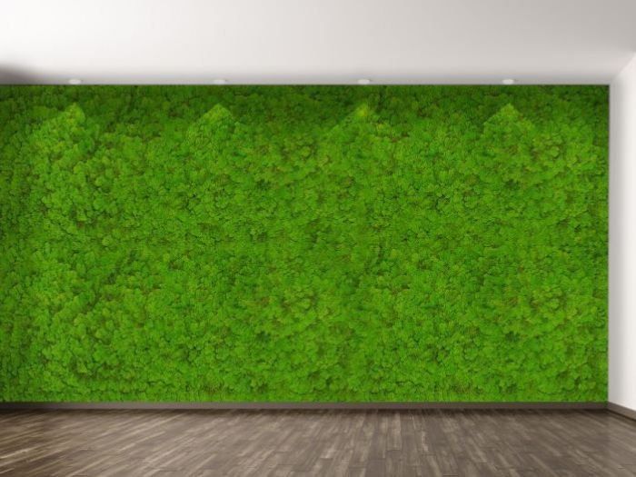 Archisio - Verde Passione - Progetto Quadri in moss
