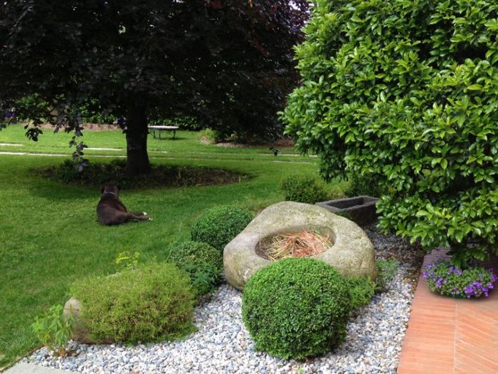 Archisio - Aapaesaggi - Progetto Un piccolo giardino di campagna nei pressi di torino- di acqua e di pietra