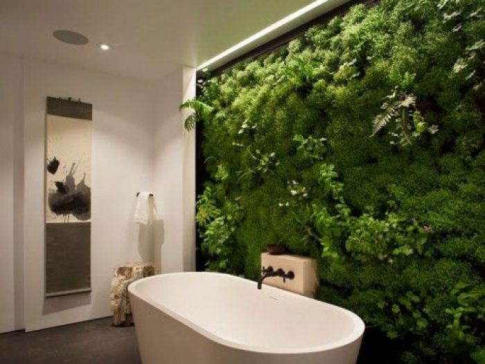 Archisio - Dotto Francesco Consulting Green - Progetto Verde verticale interno casa