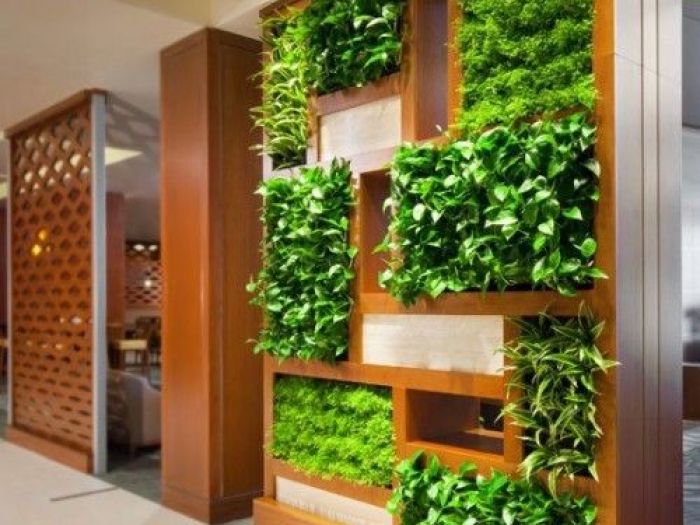Archisio - Dotto Francesco Consulting Green - Progetto Verde verticale interno casa
