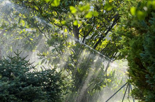 Archisio - Nardozza Nicola Impianti Elettrici - Progetto Installazione impianto irrigazione giardino