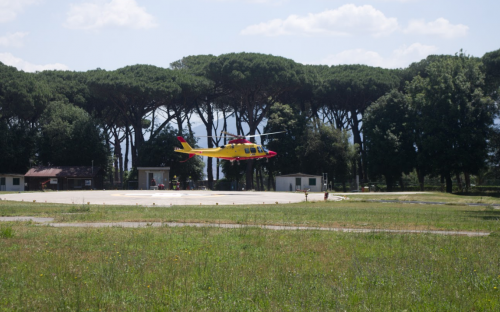 Archisio - Impresa Di Ristrutturazioni Napoli Erreservice - Progetto Potatura di pini con cestello