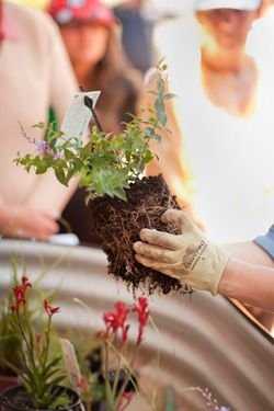 Archisio - Tiziano Codiferro - Progetto Giardino privato