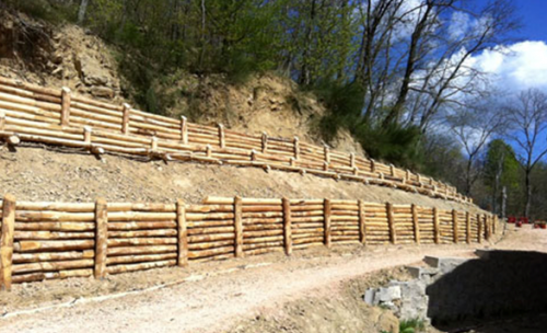 Archisio - Ambiente Lavori - Progetto Opere di ingegneria naturalistica