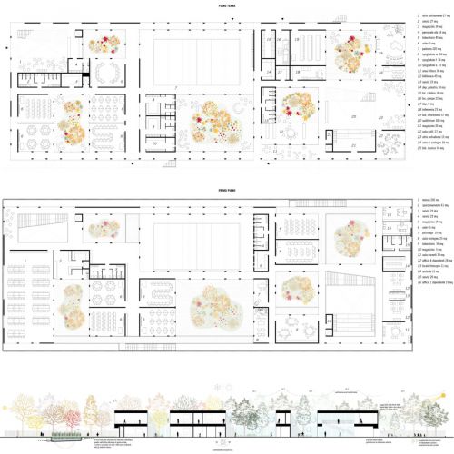 Archisio - Circolo A - Progetto Scuola primaria di cesena