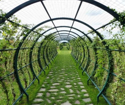 Archisio - Lucrezia Didonna - Progetto Toscana tunnel verde