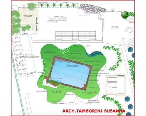 Archisio - La Paesaggista Susanna Tamborini - Progetto Giardino e piscina circeo