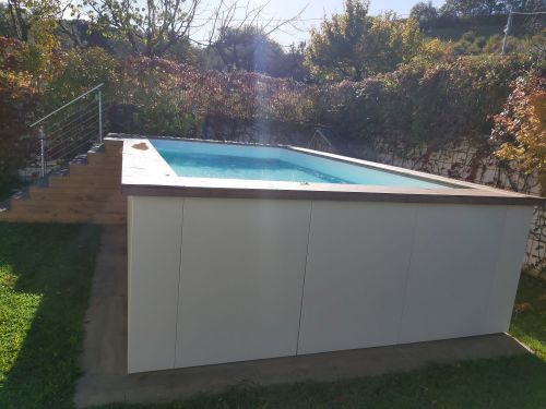 Archisio - Carlini Service Di Carlini Williams - Progetto Piscina dove vuoi