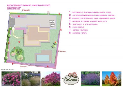 Archisio - Botanica Di Laura Pescari - Progetto Progetti -