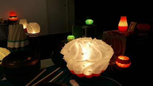 Archisio - Serena Fanara - Progetto Desert light modello cereus spiralis