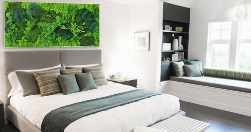 Archisio - Verde Passione - Progetto Moss per arredo di interni