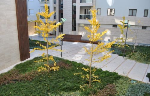 Archisio - Artenatura Vivai Saas - Progetto Realizzazione giardino condominiale