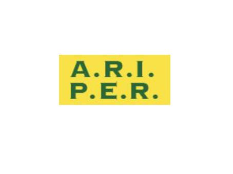 Archisio - Impresa Ariper srl - Impresa Edile - Roma RM