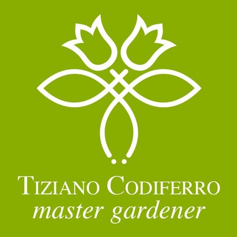Archisio - Impresa Tiziano Codiferro - Manutenzione Verde - Poggio a Caiano PO