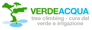 Archisio - Impresa Verde Acqua - Manutenzione Verde - Venezia VE